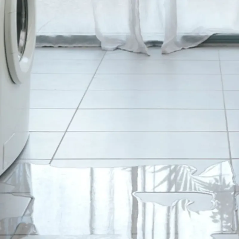 Appliance Leak Cleanup in New Carrollton, MD