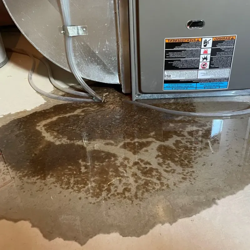 Pipe Burst and Leak Restoration in New Carrollton, MD